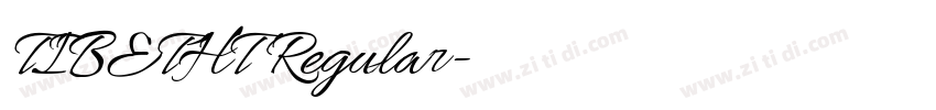 TIBETHT Regular字体转换